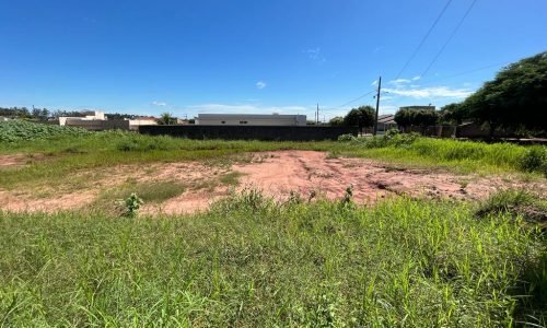 Imagem do WhatsApp de 2023-02-14 à(s) 15.36.50b