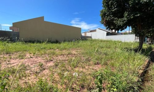 Imagem do WhatsApp de 2023-02-14 à(s) 15.41.13