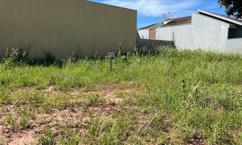 Imagem do WhatsApp de 2023-02-14 à(s) 15.41.13r