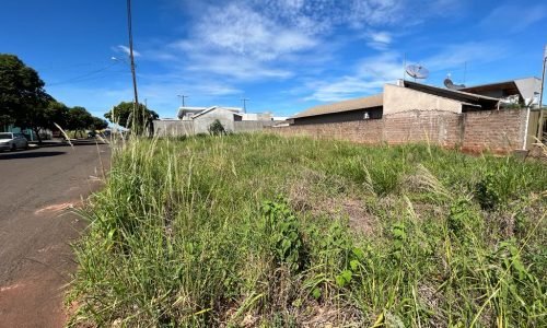 Imagem do WhatsApp de 2023-02-14 à(s) 15.45.07