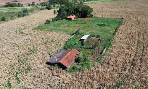 Imagem do WhatsApp de 2025-07-30 à(s) 11.51.37_908668c8