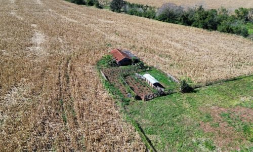 Imagem do WhatsApp de 2025-07-30 à(s) 11.51.38_55ce2157