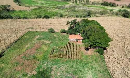 Imagem do WhatsApp de 2025-07-30 à(s) 11.51.40_b46ca134