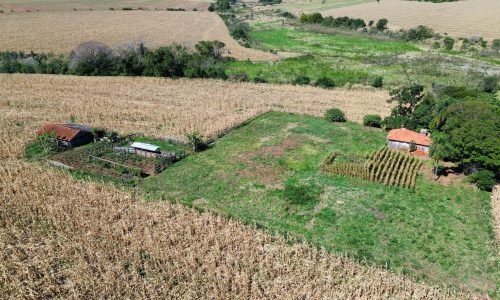 Imagem do WhatsApp de 2025-07-30 à(s) 11.51.40_be4f669c