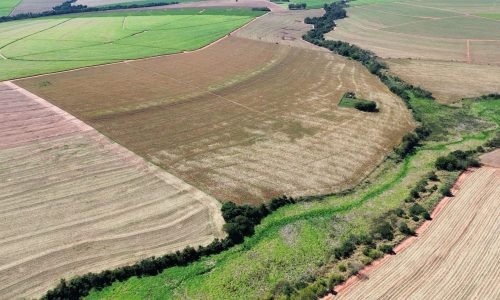 Imagem do WhatsApp de 2025-07-30 à(s) 11.52.28_524990d0