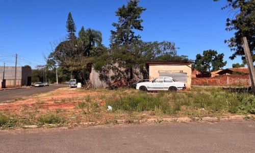 Imagem do WhatsApp de 2025-07-30 à(s) 15.49.36_98bc4221