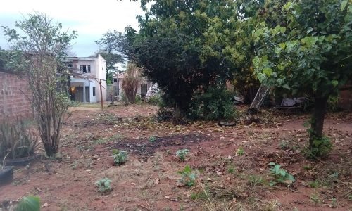 WhatsApp Image 2021-10-05 at 10.17.12