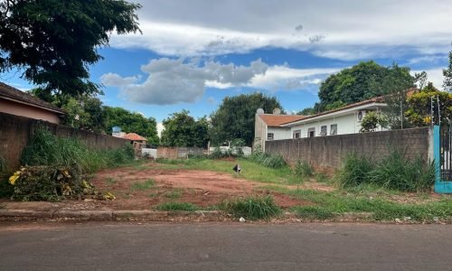 WhatsApp Image 2024-01-18 at 15.32.24 (5)