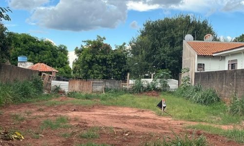 WhatsApp Image 2024-01-18 at 15.32.24 (7)