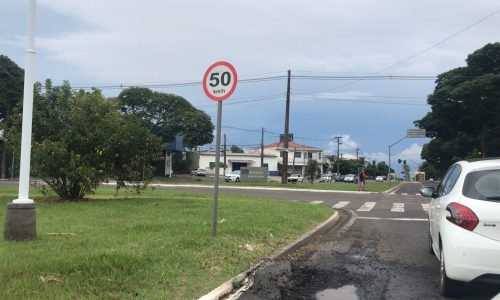 WhatsApp Image 2024-03-08 at 16.17.47