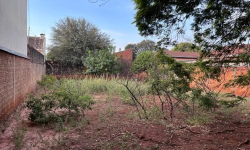 WhatsApp Image 2024-07-02 at 09.18.16